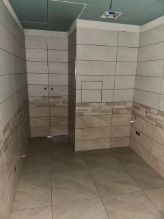photo291t.jpg